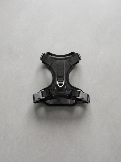 Harnais anti-traction chien — clip poitrail, forme en Y