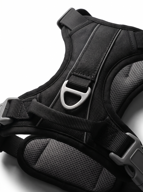 Harnais anti-traction chien — clip poitrail, forme en Y