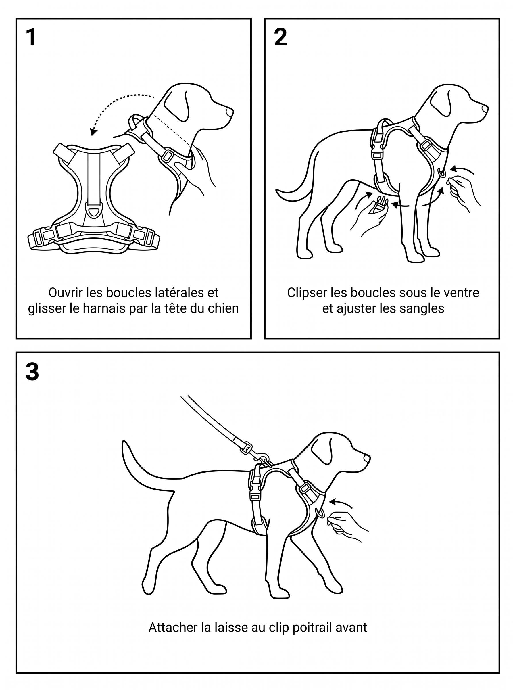 Harnais anti-traction chien — clip poitrail, forme en Y