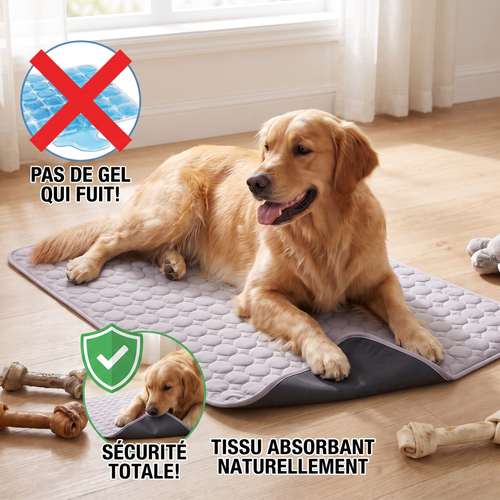 Zéro risque pour ton chien