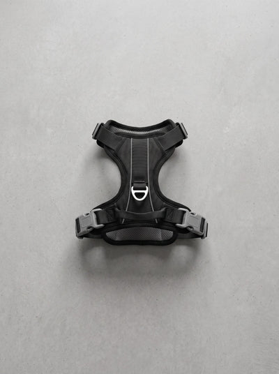 Harnais Anti-Traction Chien | Nolto Walk